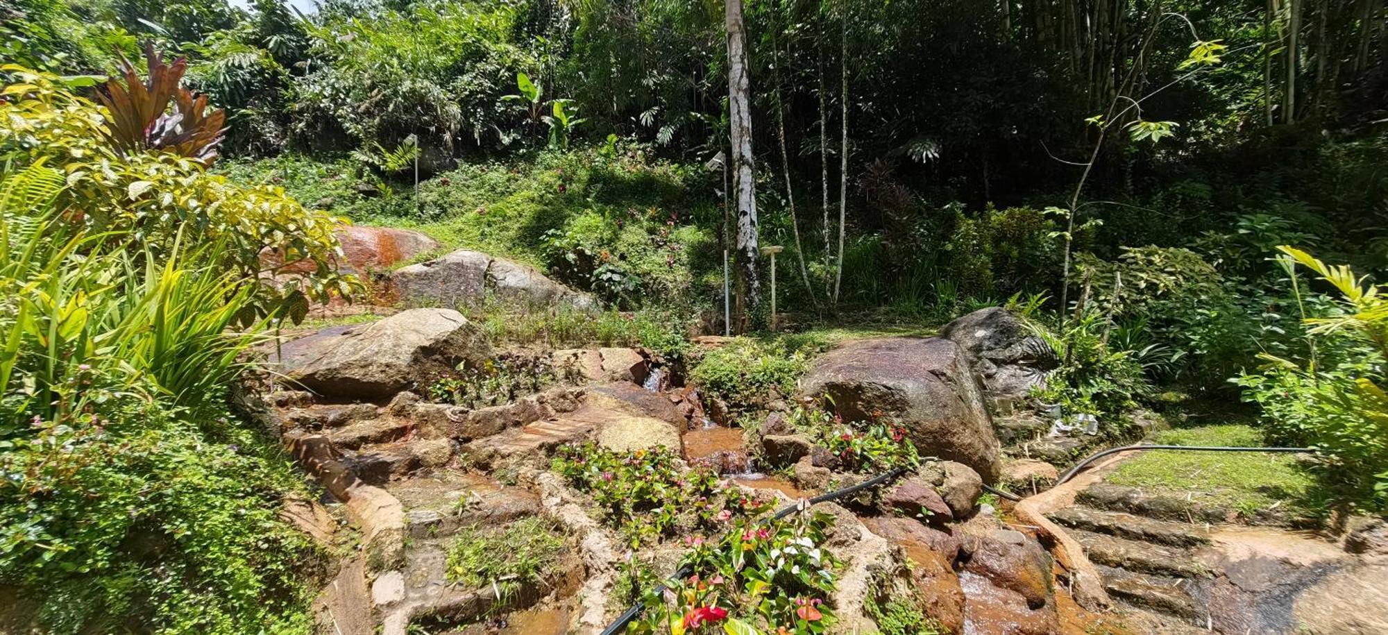 Moonriver Lodge Cameron Highlands Exterior foto